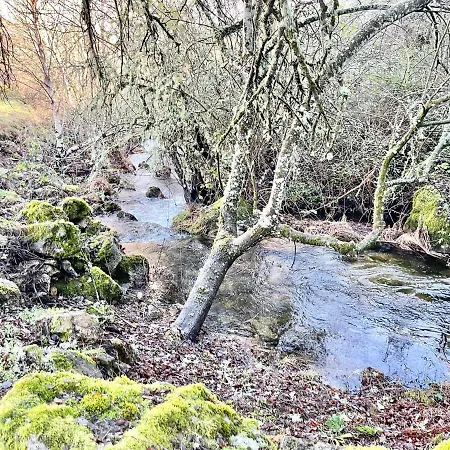 Moinho De Briao Montalegre