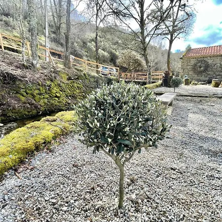Moinho De Briao Vakantiehuis Montalegre